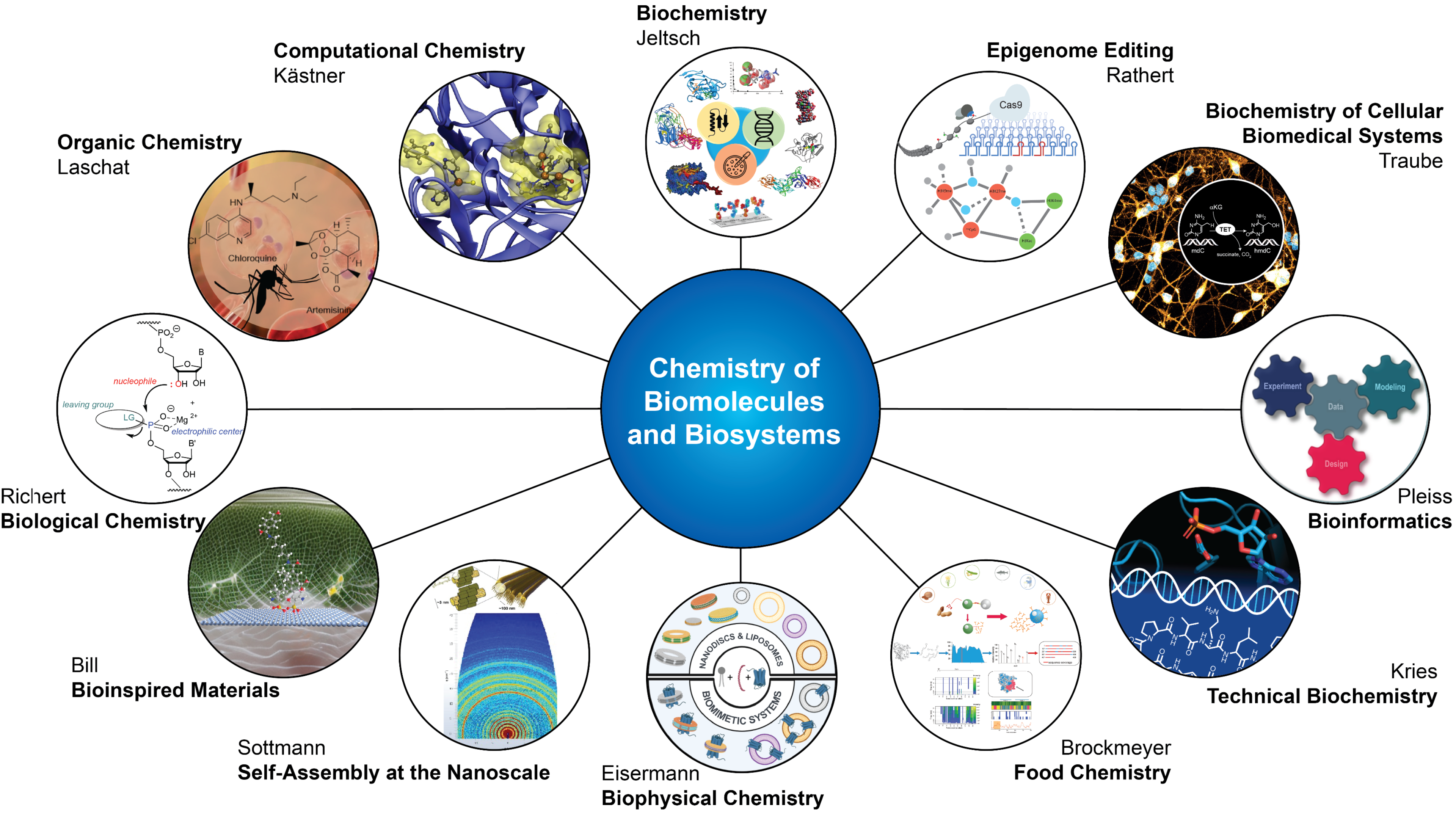 Chemistry of Biomolecules and Biosystems